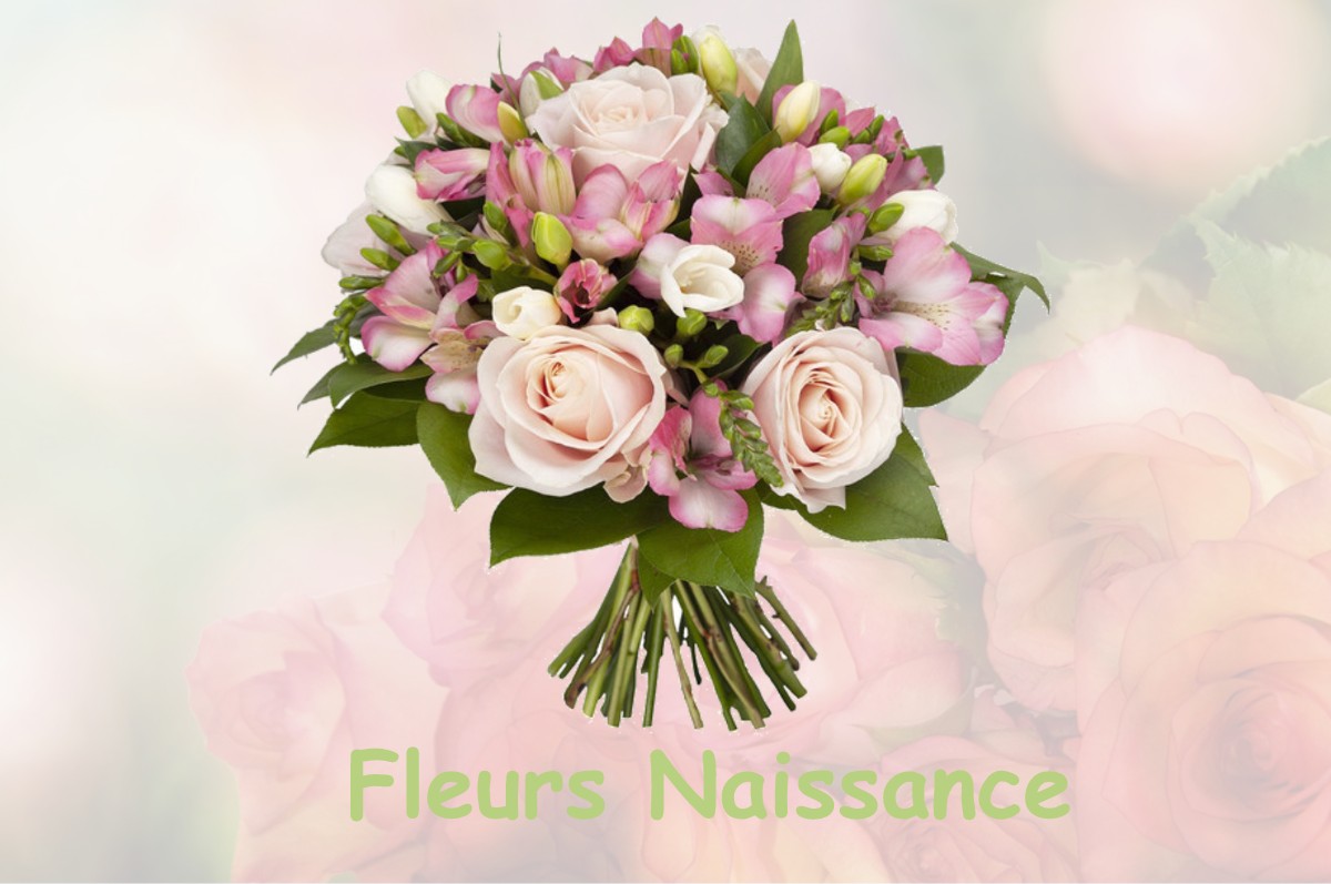 fleurs naissance SAINT-DONAT-SUR-L-HERBASSE